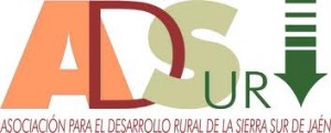logo adsur