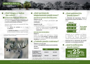 CASER_FOLLETO_OLIVAR_20192