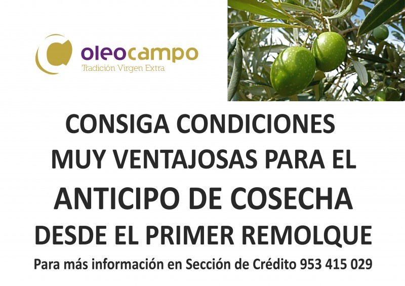 cartel anticipo de cosecha