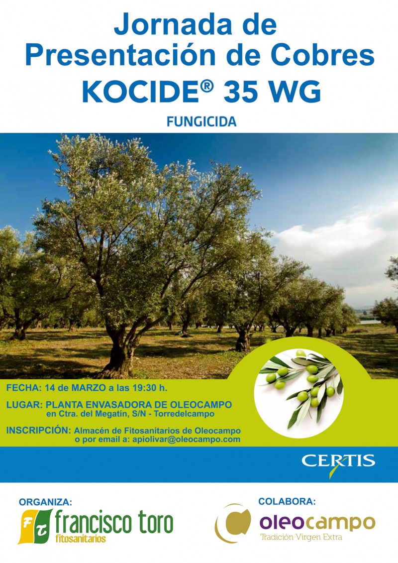 cartel jornada presentacion cobres