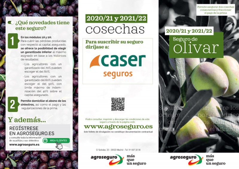 CASER_FOLLETO_OLIVAR_20191