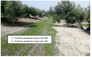 imagen1